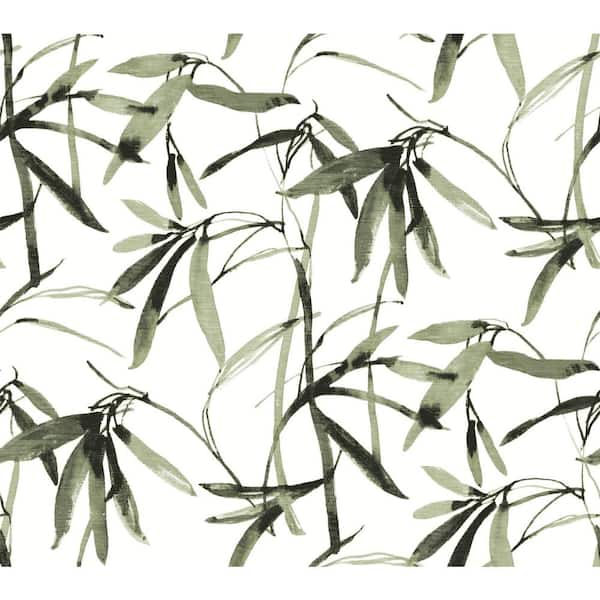 York Wallcoverings 60.75 sq.ft. Black Bamboo Ink Wallpaper