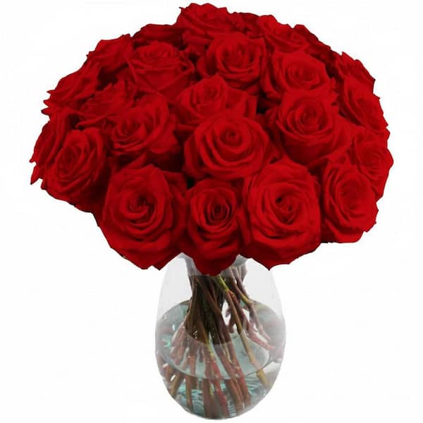 FLORAVAS 25-STEM RED ROSES WITH GLASS VASE-FRESH CUT ROSE ARRANGEMENT