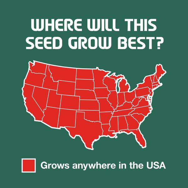 3 lbs. Shady Lawn Grass Seed Mix