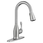 Kaden Single-Handle Pull-Down Sprayer Kitchen Faucet with Reflex and Power Clean in Spot Resist Stainless
