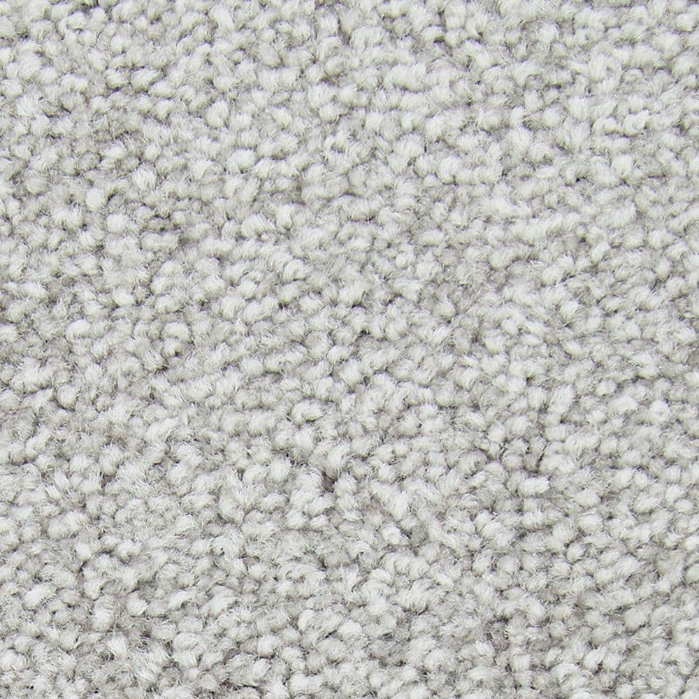 8 in. x 8 in. Texture Carpet Sample - Gentle Peace I -Color Haze price history on PriceWatchPro