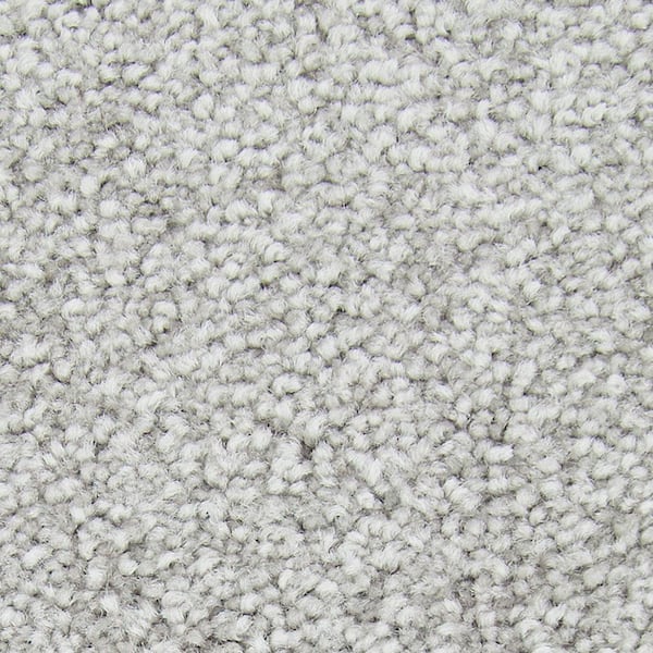 Lifeproof with Petproof Technology 8 in. x 8 in. Texture Carpet Sample - Gentle Peace I -Color Haze
