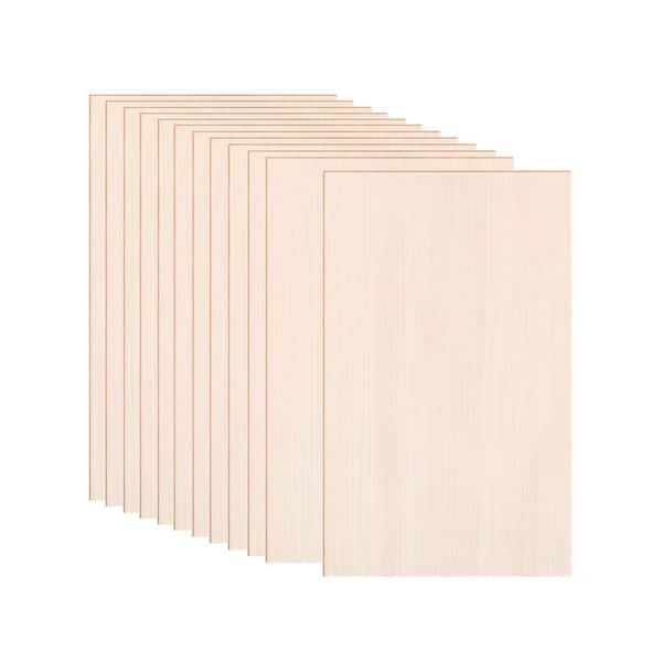 1/10 in. x 12 in. x 8 in. Basswood Project Panel Specialty Panel 12-Pack for Crafts, Laser Cutting, Wood Burning