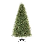 Home Accents Holiday 7.5 ft. Ellis Black Spruce LED Pre-Lit Tree with ...