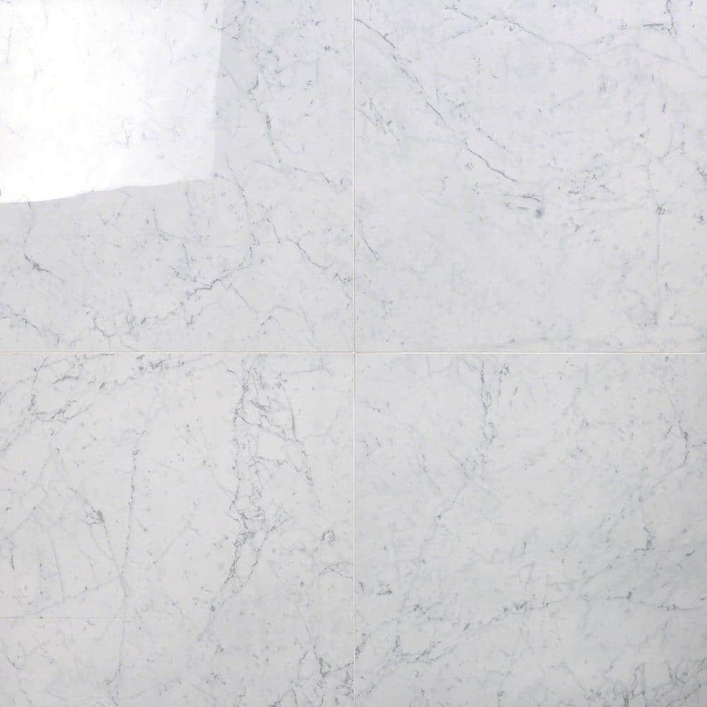 Bianco 24" x 24" Polished Porcelain Marble Look Tile