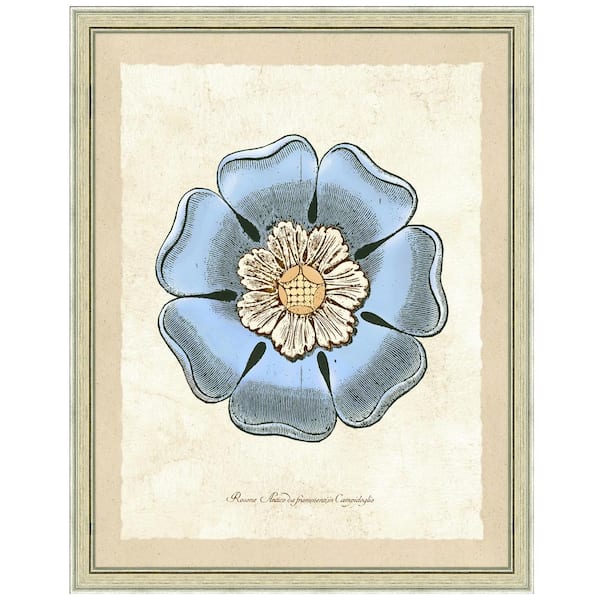 Vintage Print Gallery 20 in. x 24 in. Antique Rosette I Framed Archival Paper Wall Art