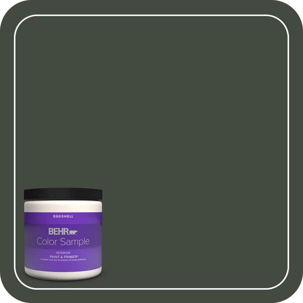8 oz. #BXC-12 Deep Forest Eggshell Enamel Interior Paint & Primer Color Sample price history on PriceWatchPro