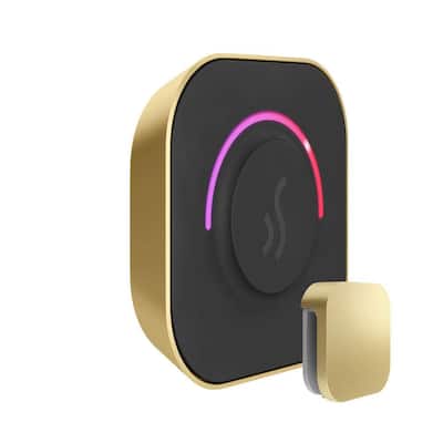 TempoTouch Steam Shower Control and Steamhead in Satin Brass