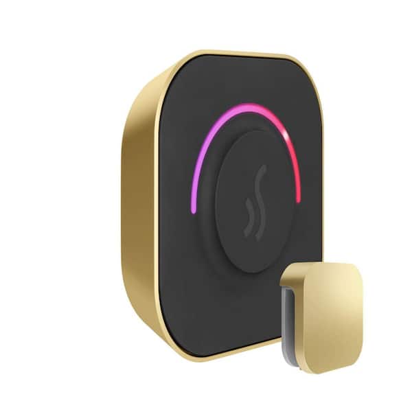 TempoTouch Steam Shower Control and Steamhead in Satin Brass