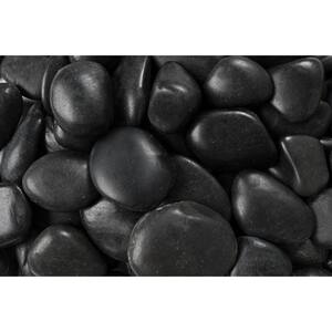 20 lb. Grade A Black Polished Pebbles 1 in. to 2 in.