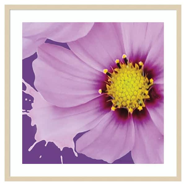 Amanti Art Flower Pop III by Marie Elaine Cusson 33 in. W x 33 in. H. Wood Framed Wall Art Print Framed in Brown