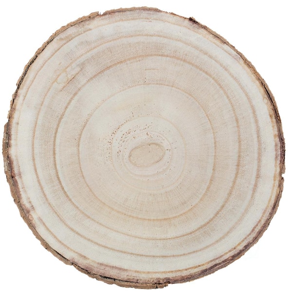 1 Solid Elm Wood Slice 10 Inch in Diameter Elm Slices Elm Elm Circles Wooden  Slices Tree Slices Wood Slices Rustic Wood Pieces Wooden Slices 