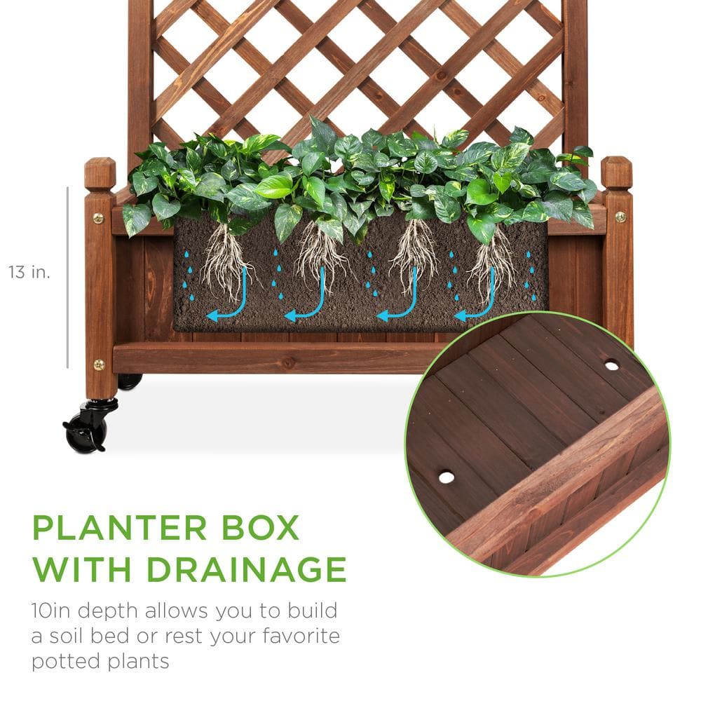 Walnut Fir Wood Mobile Planter Box with Trellis
