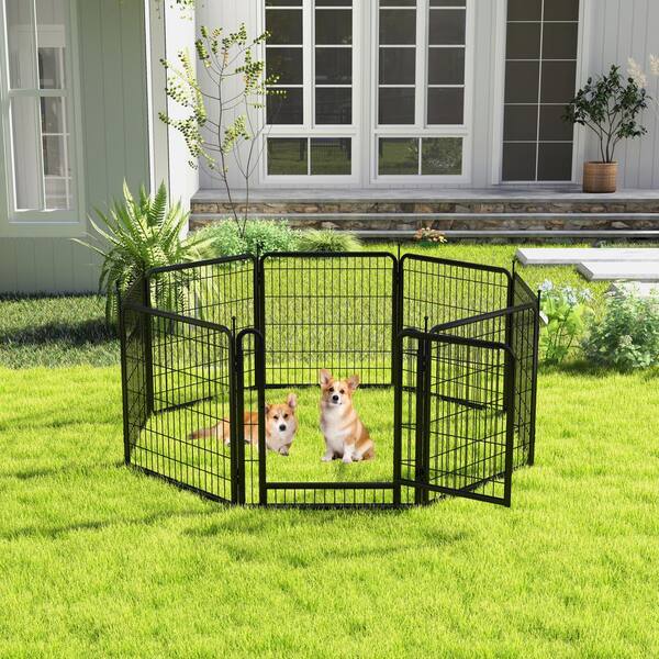 Patio dog outlet fence