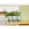 Basil/Cilantro/Mint Grow Kit Herb Garden (3-Pack)