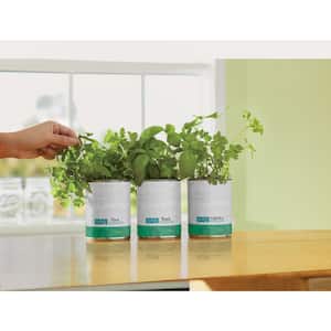 Basil/Cilantro/Mint Grow Kit Herb Garden (3-Pack)