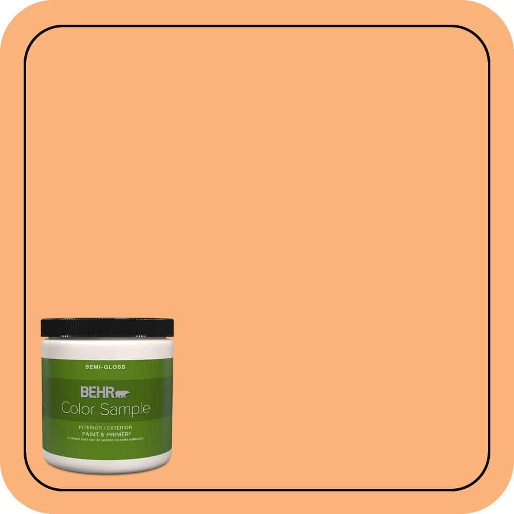 8 oz. #P220-5 Fuzzy Peach Semi-Gloss Interior/Exterior Paint & Primer Color Sample price history on PriceWatchPro