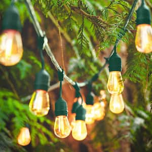 15-Light 48 ft Outdoor Plug-In LED Edison String Light with 16 1-Watt E26 S14 Filament Plastic Light Bulbs in Green Cord