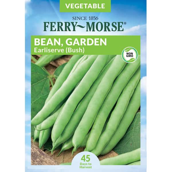 Ferry-Morse Bean Earliserve Bush Fruit Seeds