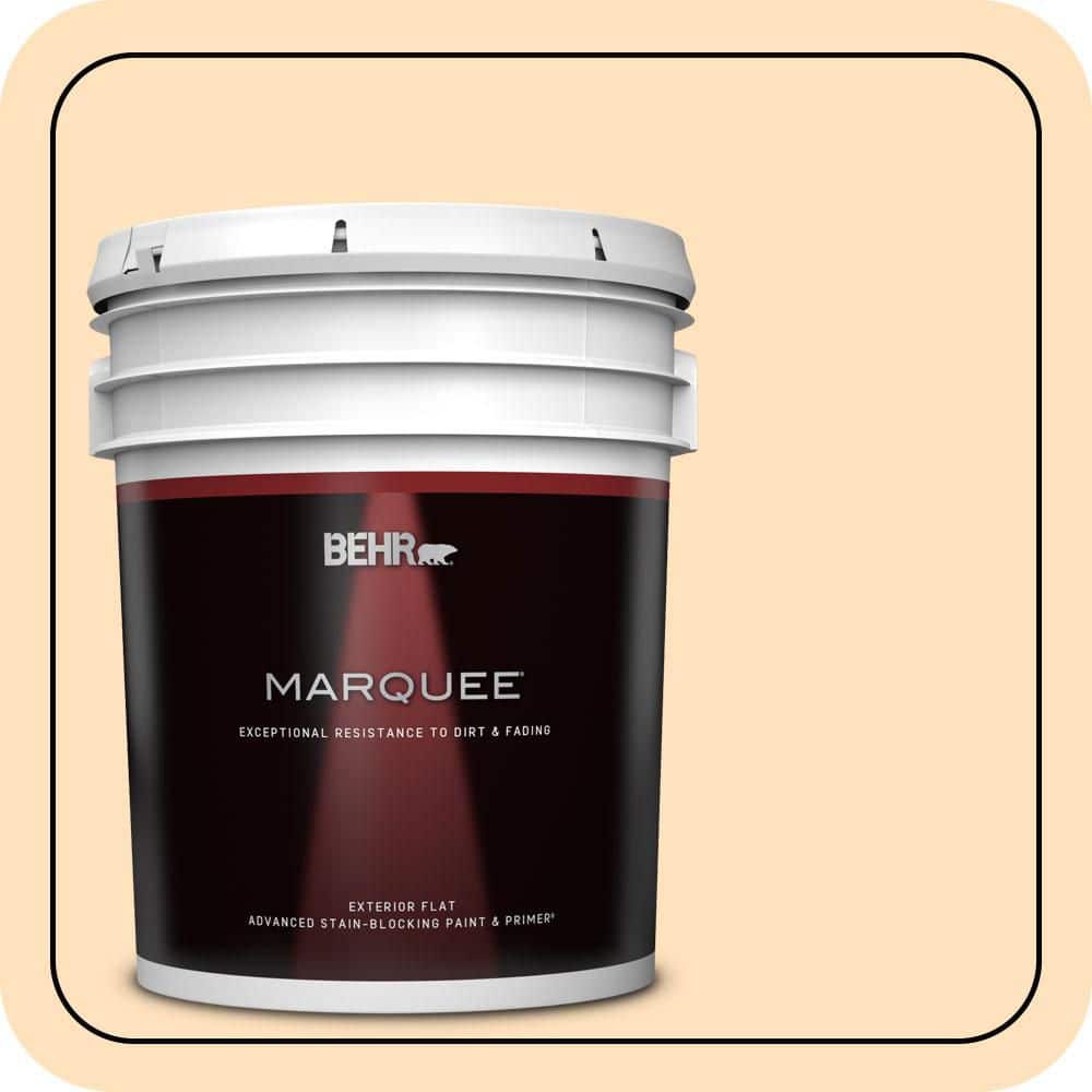 5 gal. #310C-2 Orange Glow Flat Exterior Paint & Primer price history on PriceWatchPro