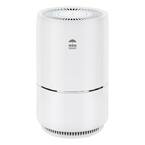 Air Purifier, True HEPA for Large Rooms, Remove 99.97% Dust, Mold, Pet Odors, White
