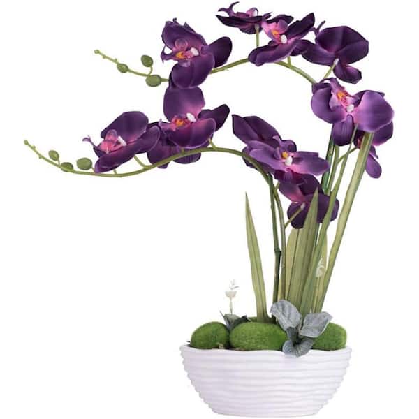 Cubilan 17 .7 in. Large Dark Purple Artificial Potted Orchid Plant in Ceramics Vase