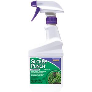 16 oz. Sucker Punch Ready-To-Use
