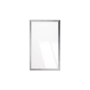 30 in. W x 48 in. H Cool Silver Slim Wall Mirror