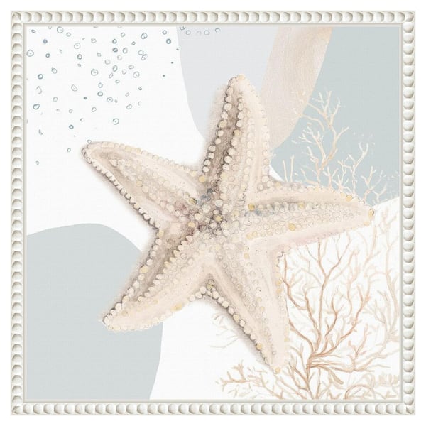 Amanti Art "Ocean Oasis Bubbles Starfish" by Patricia Pinto 1-Piece Floater Frame Giclee Coastal Canvas Art Print 16 in. x 16 in.