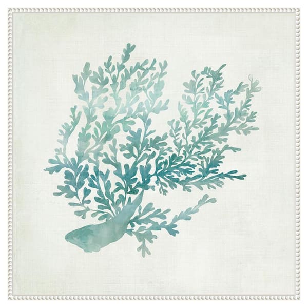 Amanti Art Azure Coral II by Hannah Dawson 30 in. W x 30 in. H. Canvas Wall Art Print Framed in White