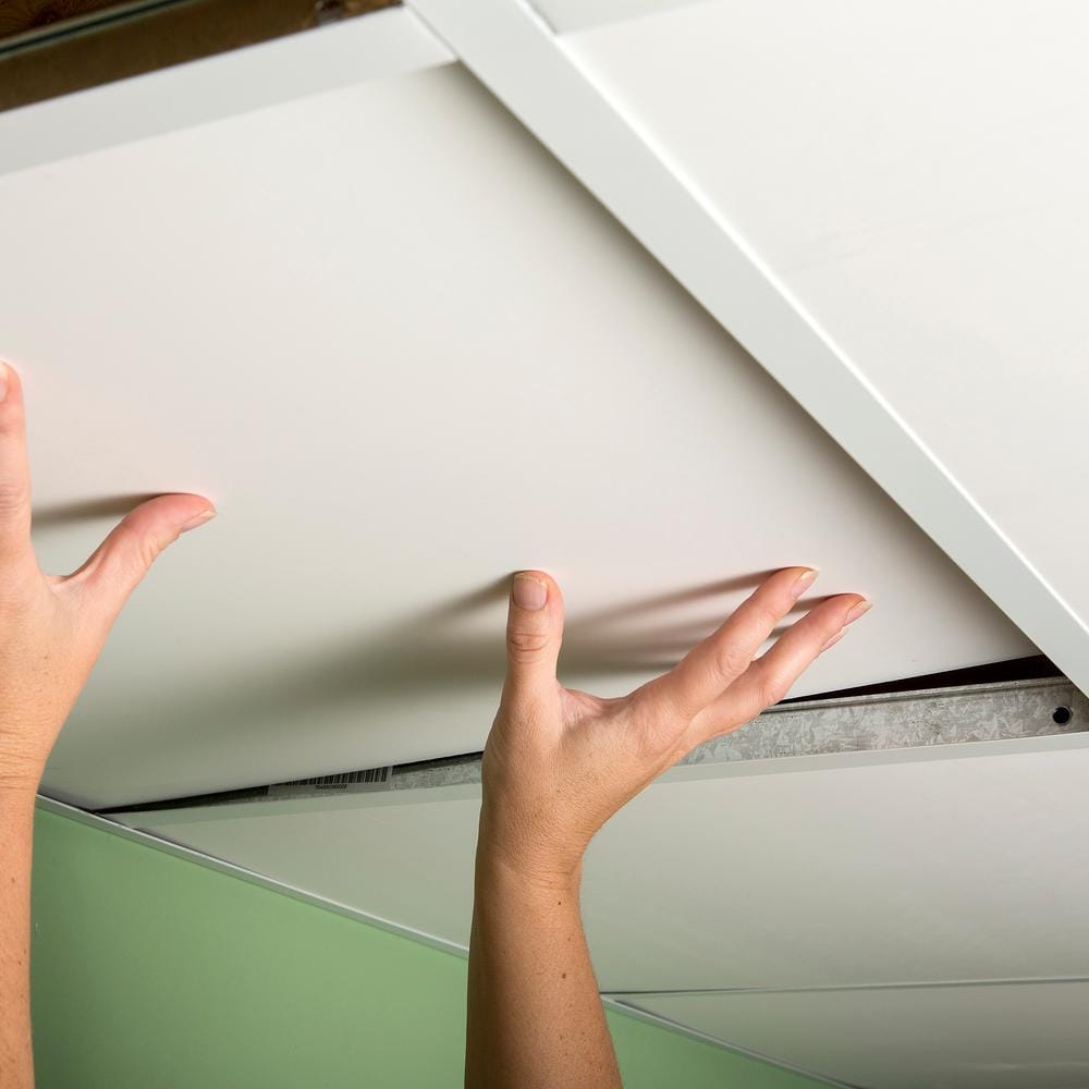 Genesis 2' x 2' Smooth White PVC Ceiling Tiles, 12-Pack