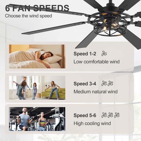 Breezary Sergio 65 in. 2-Light Black Standard Ceiling Fan with