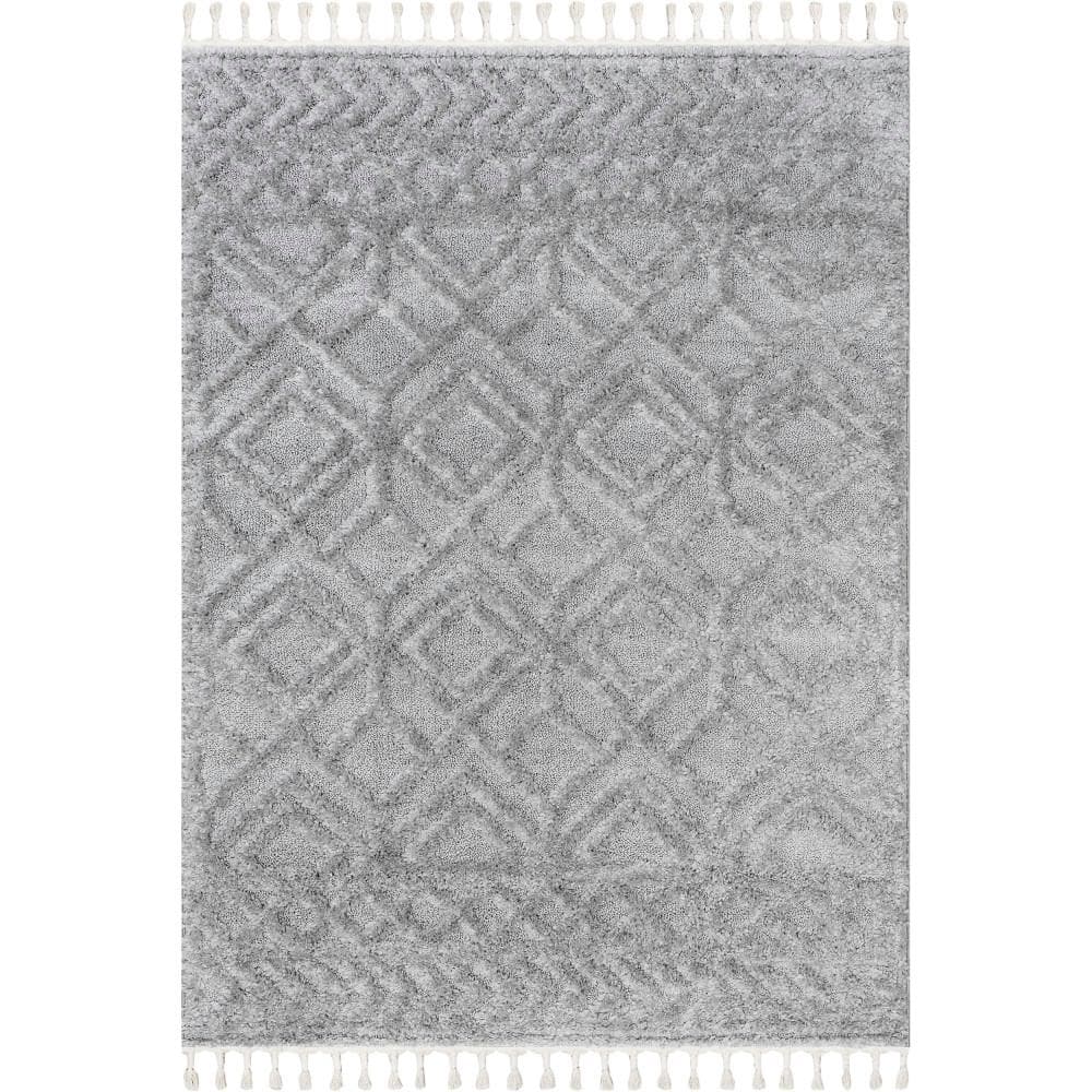 Akia Lattice High/Low Tassel Accent Rug Light Grey 3 ft. x 5 ft. Area Rug price history on PriceWatchPro