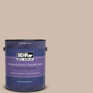 1 gal. #N190-3 Windrift Beige Ceiling Flat Interior Paint and Primer
