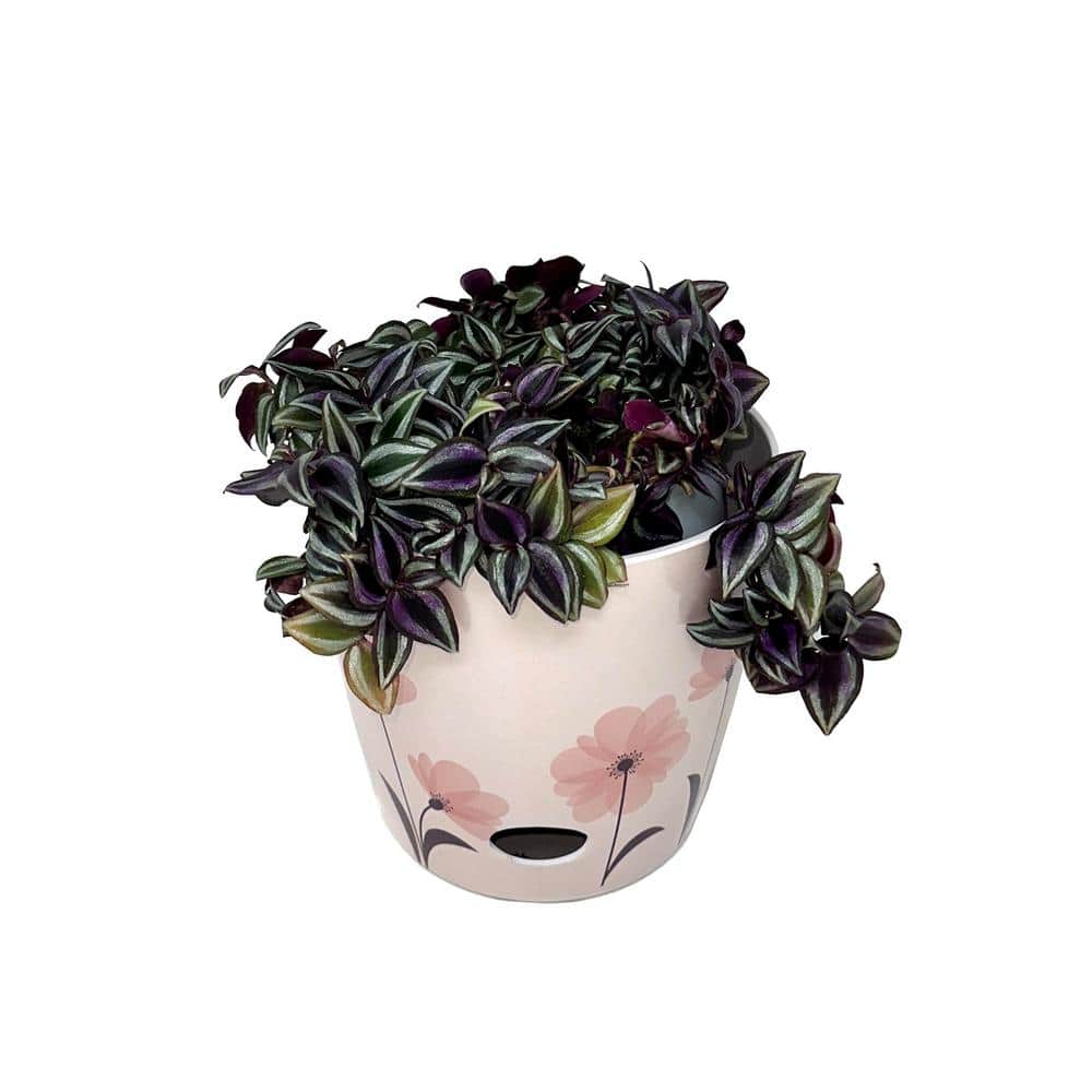 7 in. Pink Flower Round Self-Watering Bamboo Pot