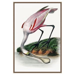 "Spoonbill Crane" by Incado 1-Piece Floater Frame Giclee Animal Canvas Art Print 33 in. x 23 in.