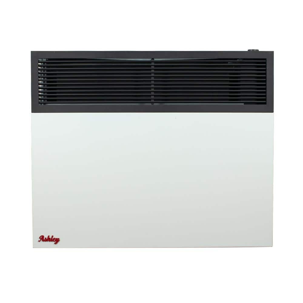 Ashley Hearth Products Ashley Direct Vent Wall Heater Dual Fuel