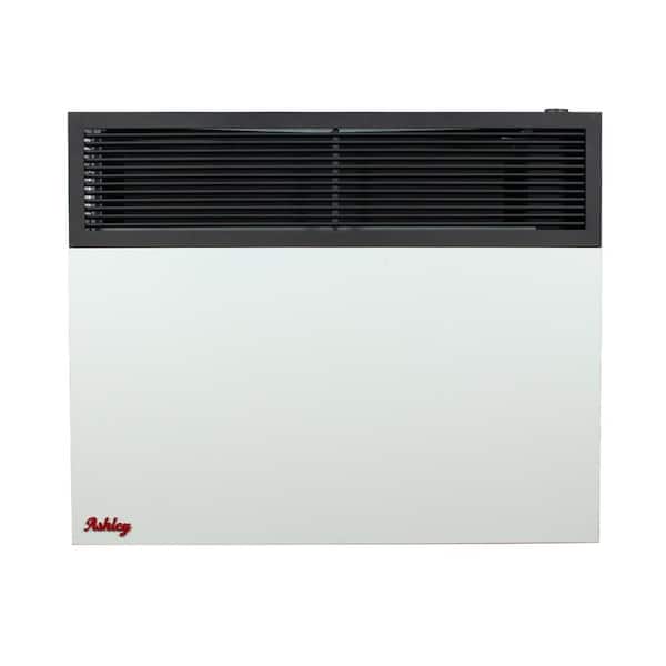 Ashley Hearth Products Ashley Direct Vent Wall Heater Dual Fuel, 25K BTU