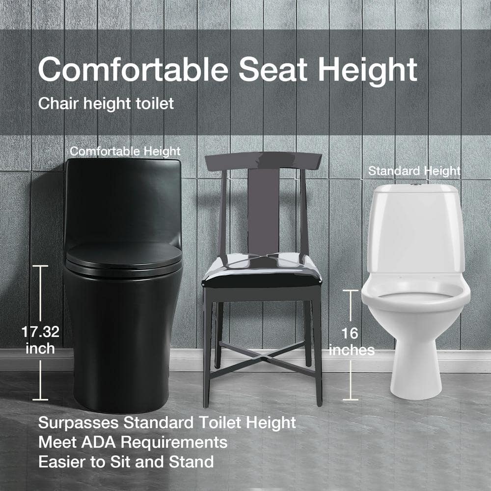 Matte Black Ceramic Dual-Flush Elongated One-Piece Toilet