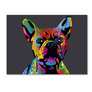 Trademark Fine Art French Bulldog Grey by Michael Tompsett Animal