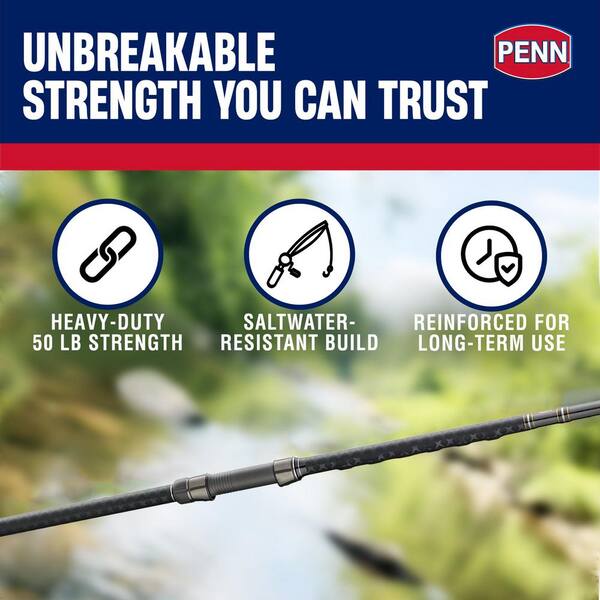 Penn Carnage III Surf Conventional Spinning Fishing Rod 12 ft. Up to 50  lbs. Black 1545865-HD