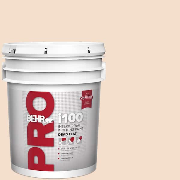 5 gal. #PPU3-05 Splendor Dead Flat Interior Paint
