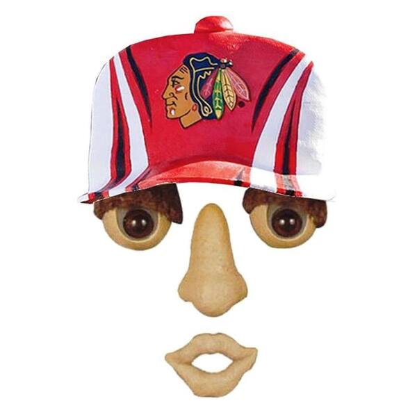 Team Sports America 14 in. x 7 in. Forest Face Chicago Blackhawks