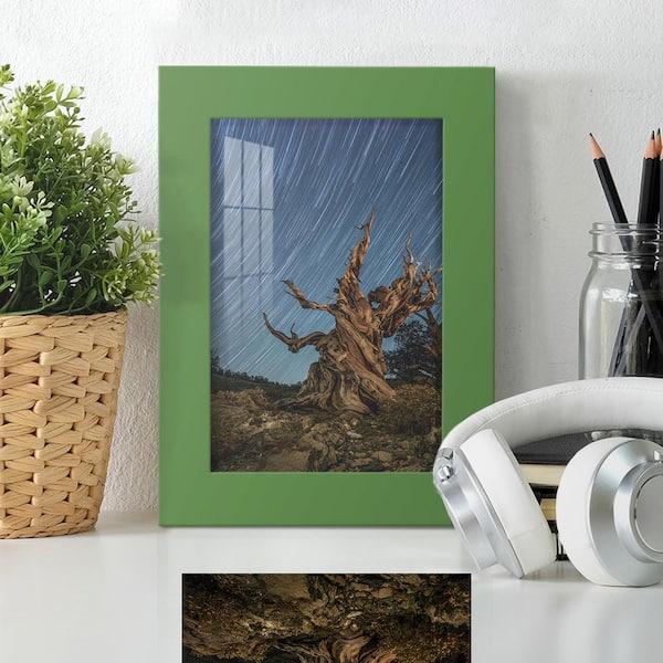 Modern 5 in. x 7 in. Green Picture Frame