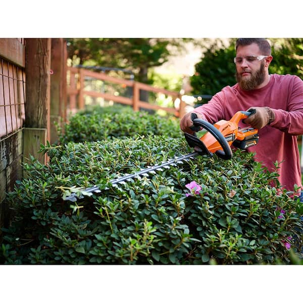 The 8 Best Cordless Hedge Trimmers of 2023