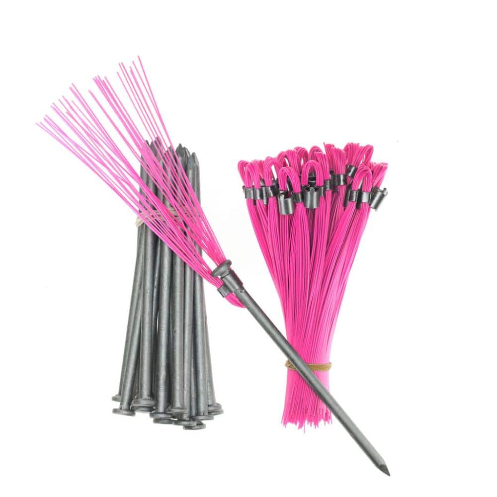 6 in. Pink Survey Markers – Whiskers with Steel Nails (25-Pack) price history on PriceWatchPro