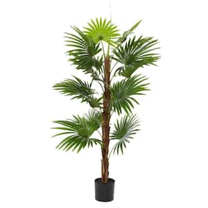 65 in. H Livistona Palm Artificial Tree with Realistic Leaves and Black Plastic Pot