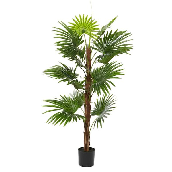 Litton Lane 65 in. H Livistona Palm Artificial Tree with Realistic Leaves and Black Plastic Pot