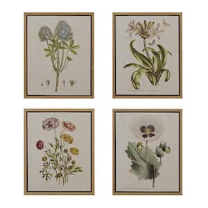 Herbal Botany Green 4-Piece Botanical Illustration Framed Canvas Wall Art Set