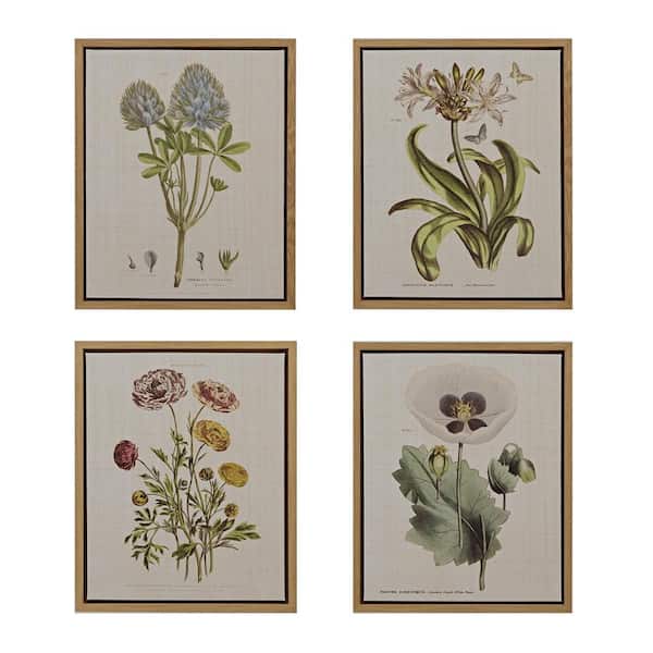 MARTHA STEWART Herbal Botany Green 4-Piece Botanical Illustration Framed Canvas Wall Art Set